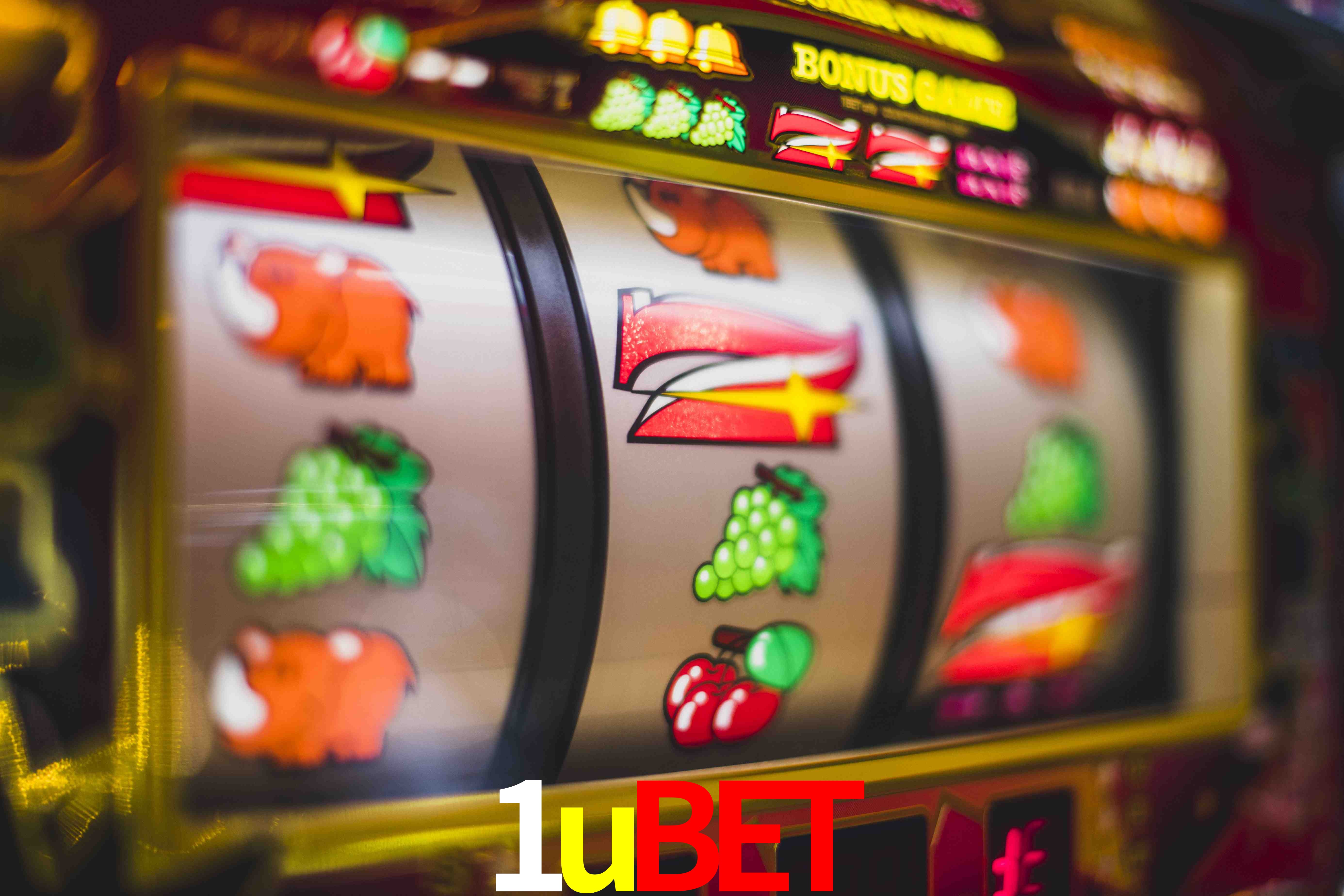 Crash Games Statistics 1ubet